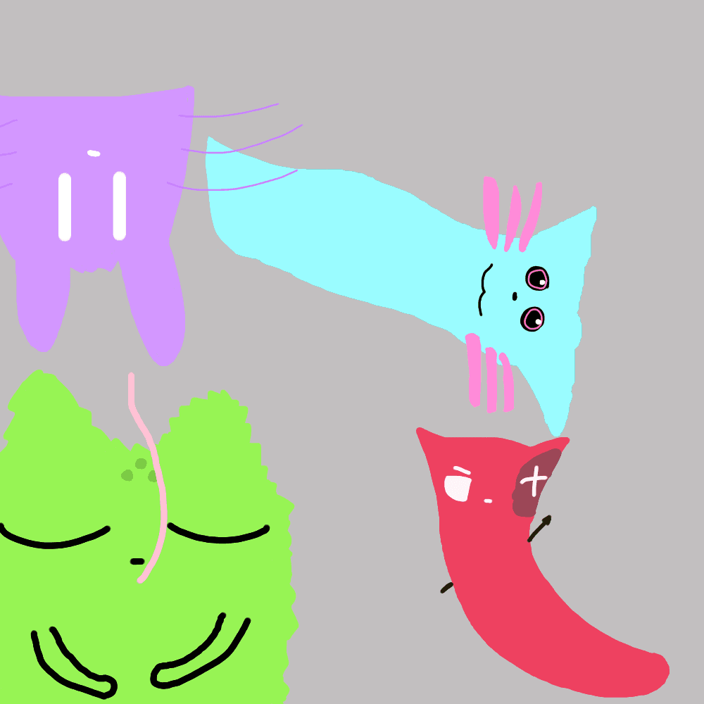 slugcats